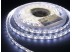 LED лента 5050/60 герметичная (IP65) premium